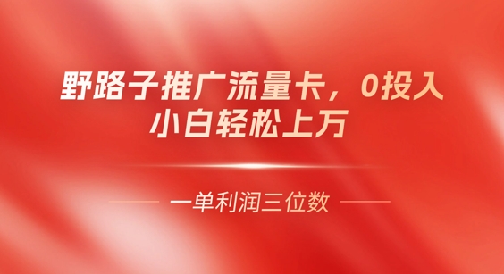 0门槛推广流量卡,一单收益上百,0投入,小白月入过W-亮剑学堂