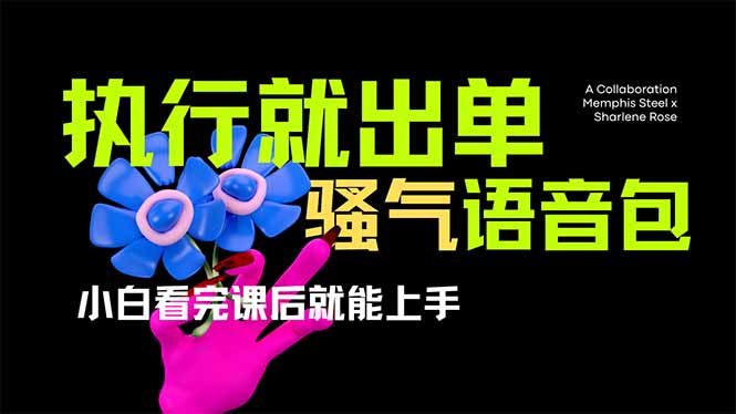 (14170期)爆火全网的开车导航骚气语音包,只要执行就出单,小白看完课程就能实操...-亮剑学堂