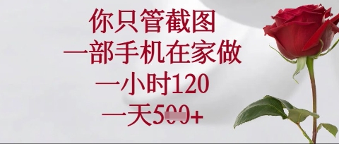 你只管截图,一部手机在家操作,一小时120.一天5张【揭秘】-亮剑学堂